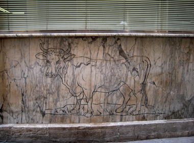 graffito bull.jpg
