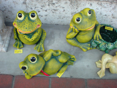 kobe frogs 1.jpg