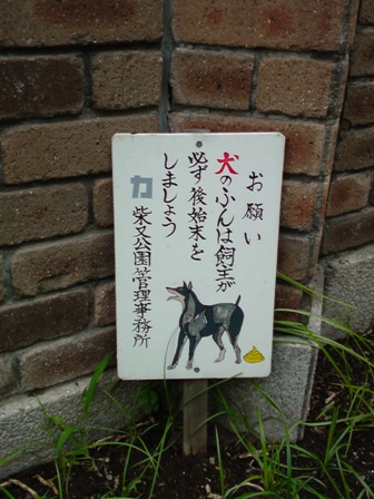 shibamata dog.jpg