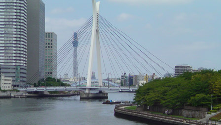 skytree from tsukuda bridge.jpg