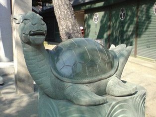 turtle dragon 2.jpg