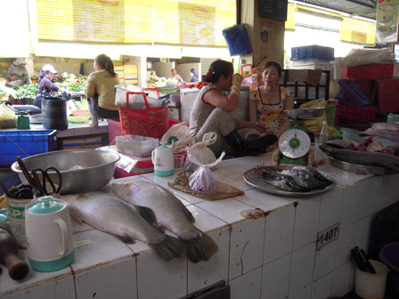vietnam market fish.jpg