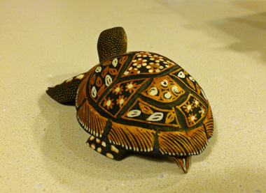 wooden turtle back.jpg
