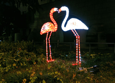 yokohama flamingo 2.jpg